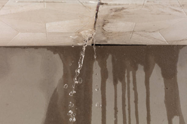 Professional Burst Pipe Cleanup technician working in Chester Gap, VA